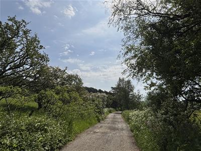 Picture 20